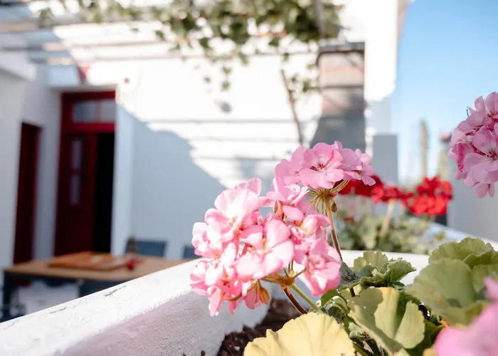 Haloyiannis Andros Villa *